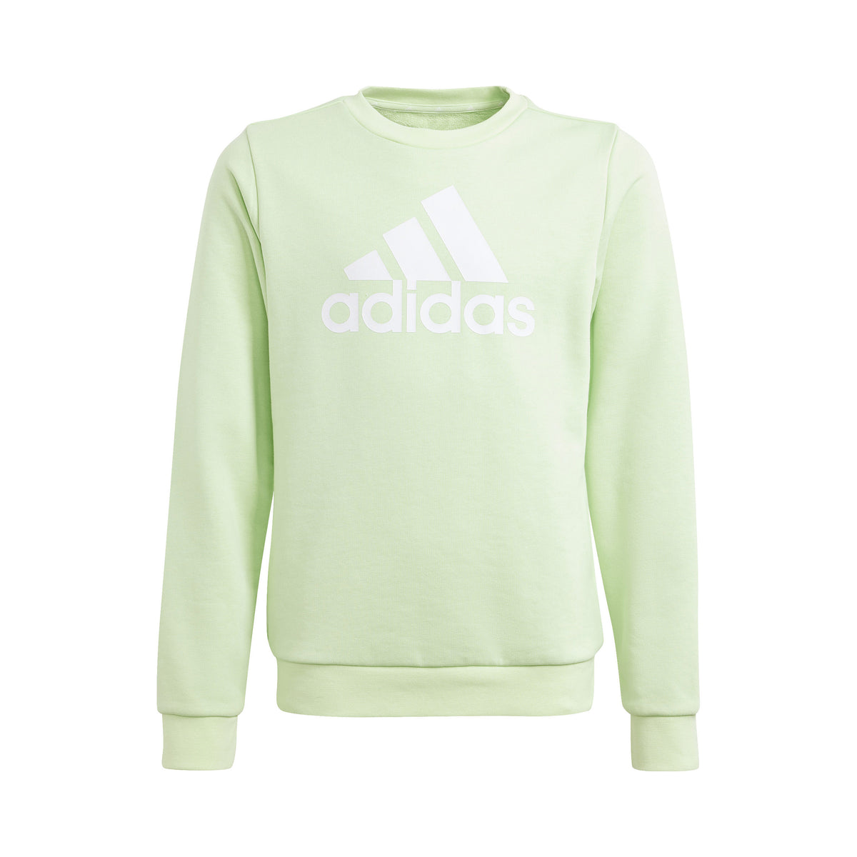adidas Big Logo Bluza Dziewczynki - jasnozielony,