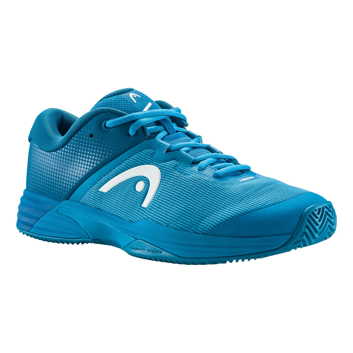 HEAD Evo 2.0 buty do tenisa ziemnego Mężczyźni - niebieski,