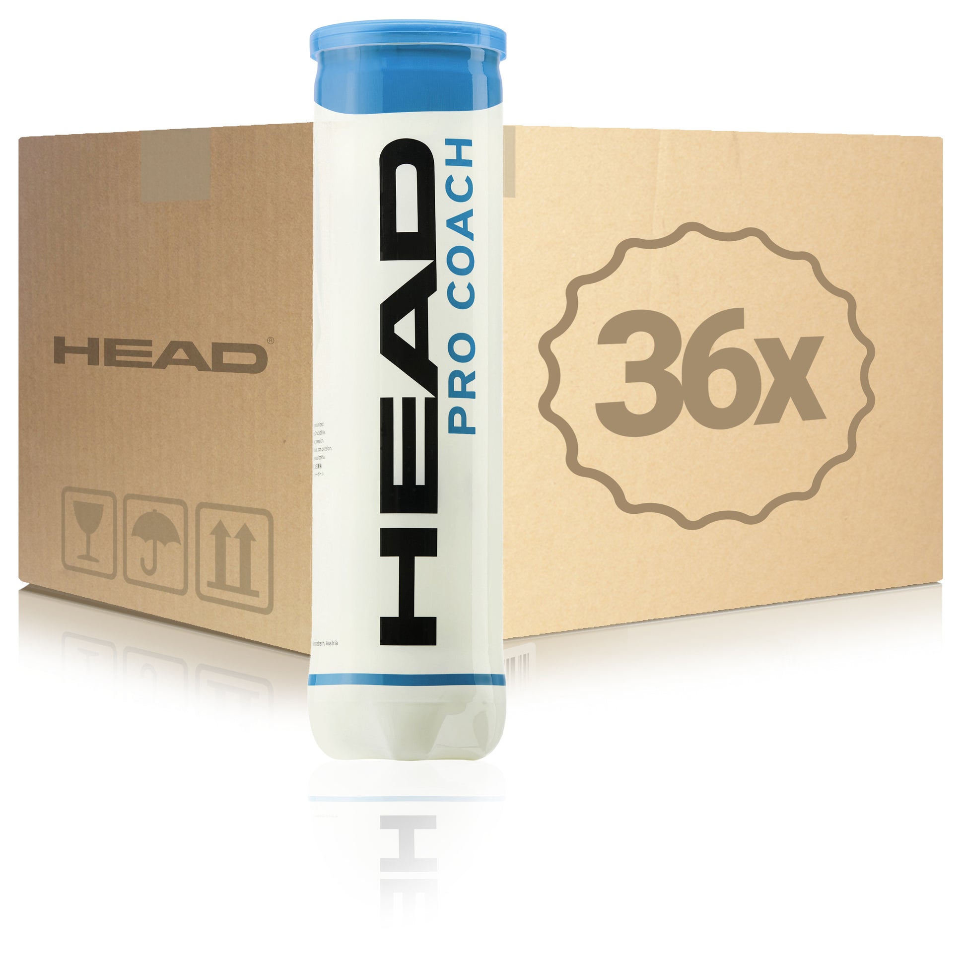 HEAD 36x puszka 4 szt. Pro Coach W KARTONIE