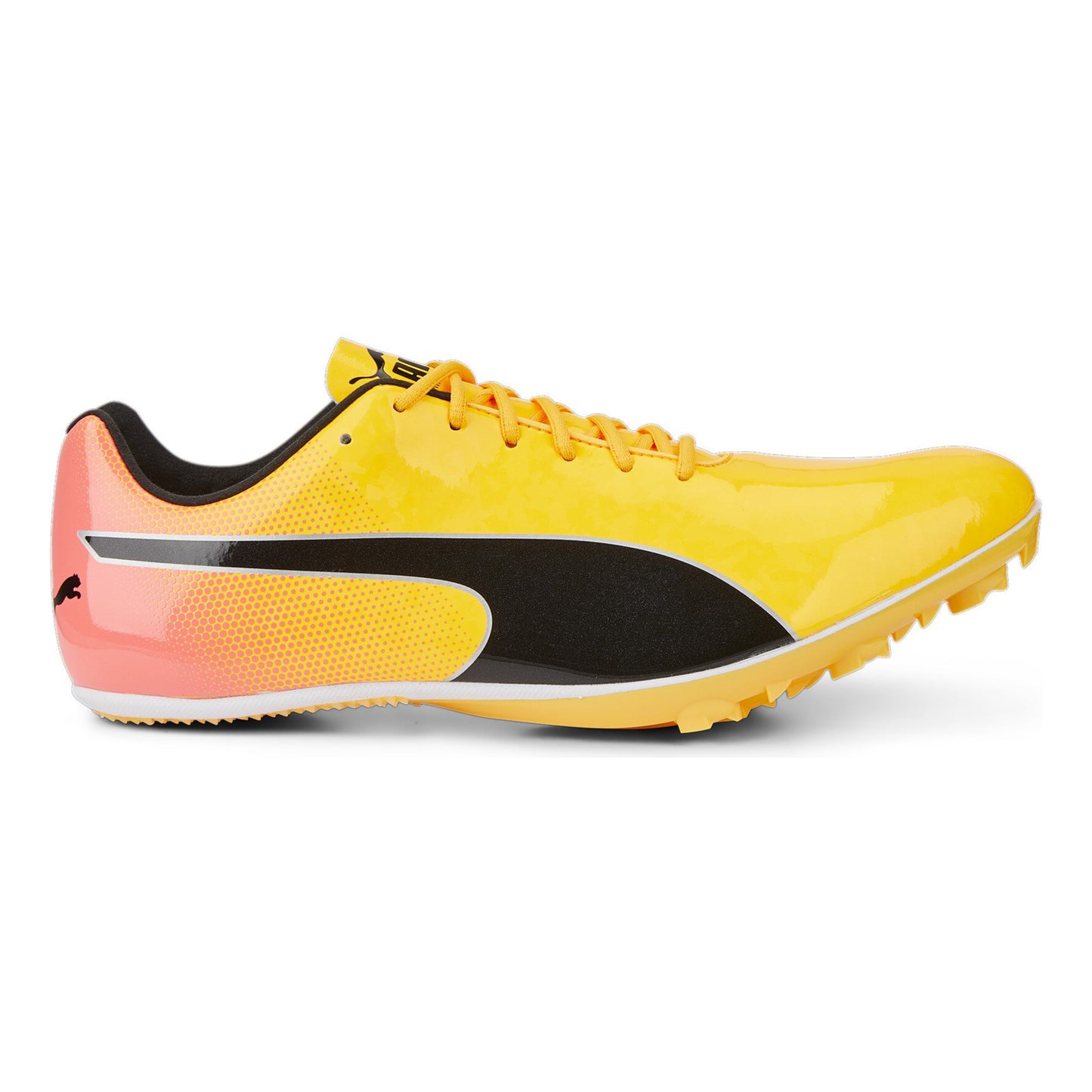 Puma evoSPEED Sprint 14 But z kolcami Unisex - żółty, pomarańczowy
