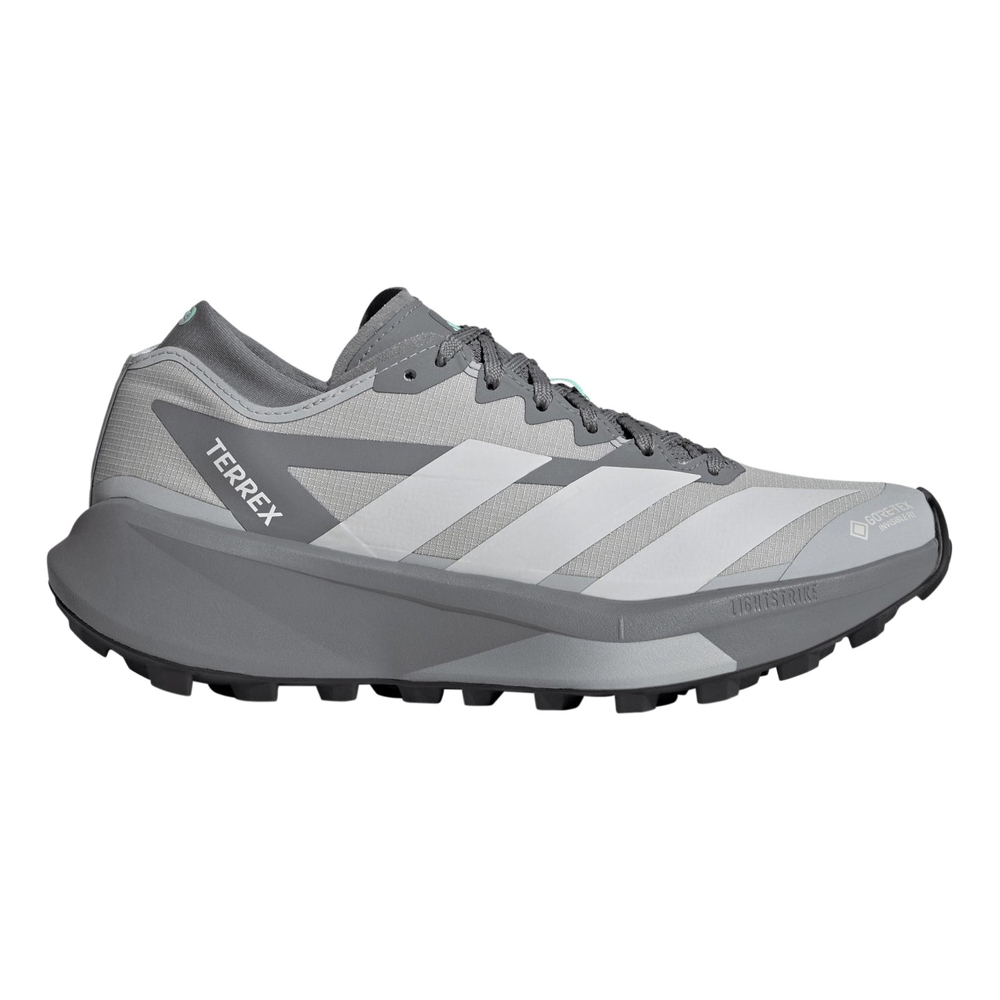 adidas Terrex Agravic GTX 2 But trailowy Kobiety - szary, szary