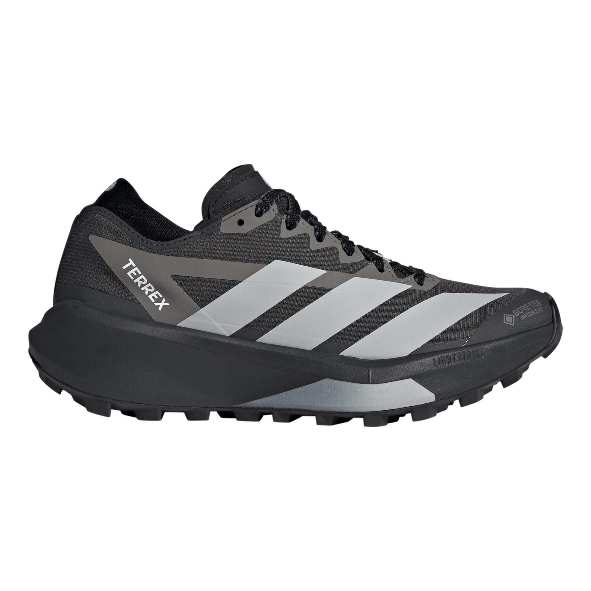 adidas Terrex Agravic GTX 2 But trailowy Kobiety - ciemnoszary, szary