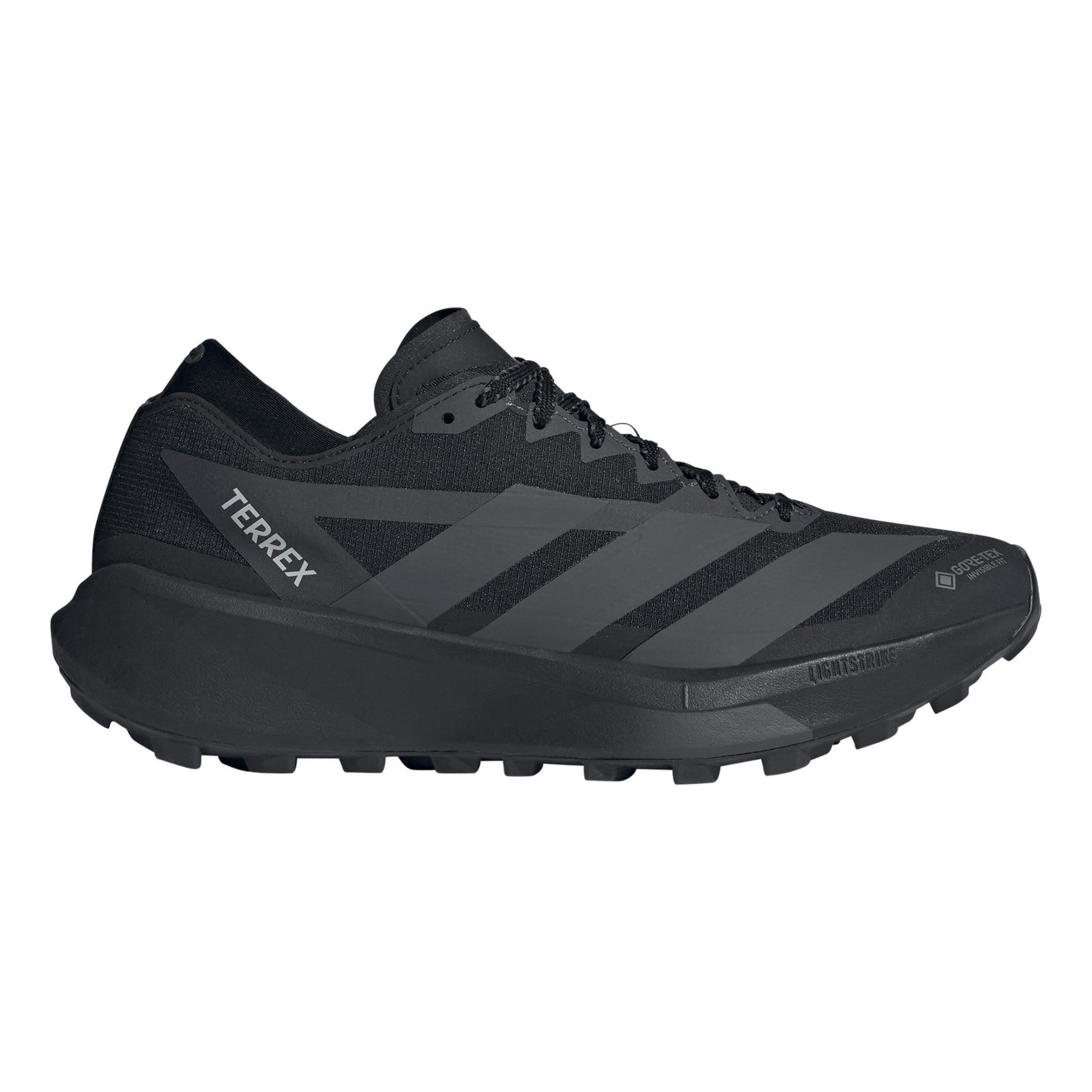 adidas Terrex Agravic GTX 2 But trailowy Mężczyźni - czarny, ciemnoszary