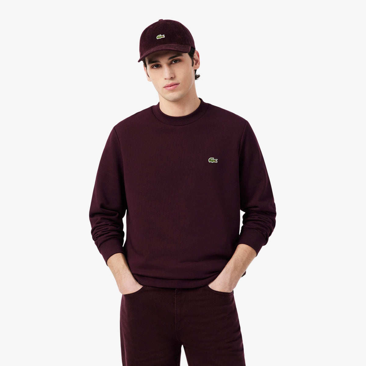 Lacoste Bluza Mężczyźni - brąz