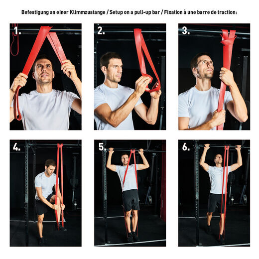 Schildkr&ouml;t Fitness