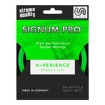 Signum Pro Signum Pro Xperience Zestaw Naciąg&oacute;w 12m-Neonowy Zielony