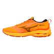 Mizuno