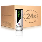 Tecnifibre Piłka do padla Tecnifibre Team Puszka 3 szt. 