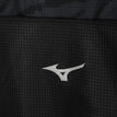 Mizuno