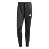 3Stripes Training Spodnie dresowe Mężczyźni - czarny, biały
