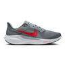 Pegasus 41