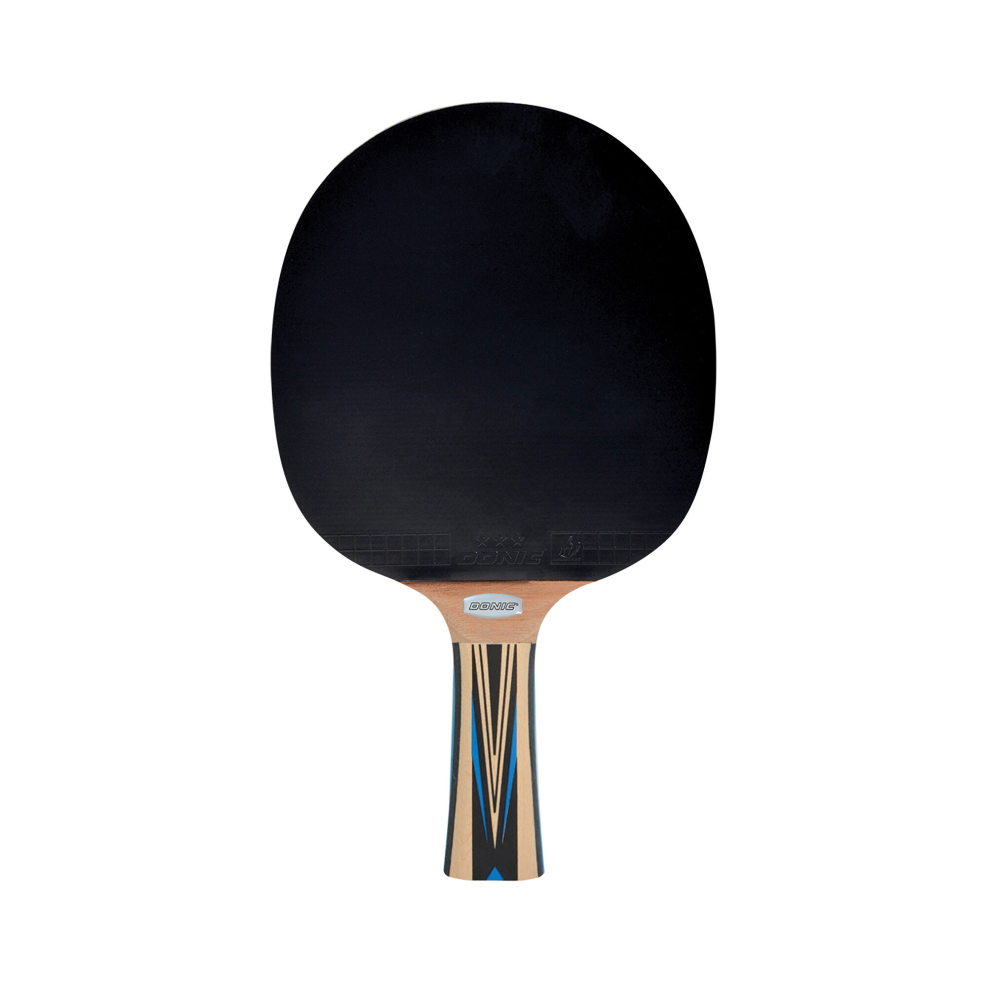 Schildkr&ouml;t Fitness