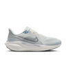 Pegasus 41