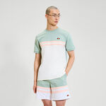 Ellesse ODZIEŻ Ellesse Atrei Koszulka Mężczyźni-Szałwia,Biały