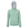TEAM TERRY HOODIE SAGE Bluza Unisex-szałwia