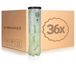HEAD Piłka z wewnętrznym ciśnieniem HEAD Gravity Puszka 4 Szt. Edycja Specjalna