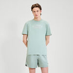 Ellesse ODZIEŻ Ellesse Quesco Koszulka Mężczyźni-Szałwia